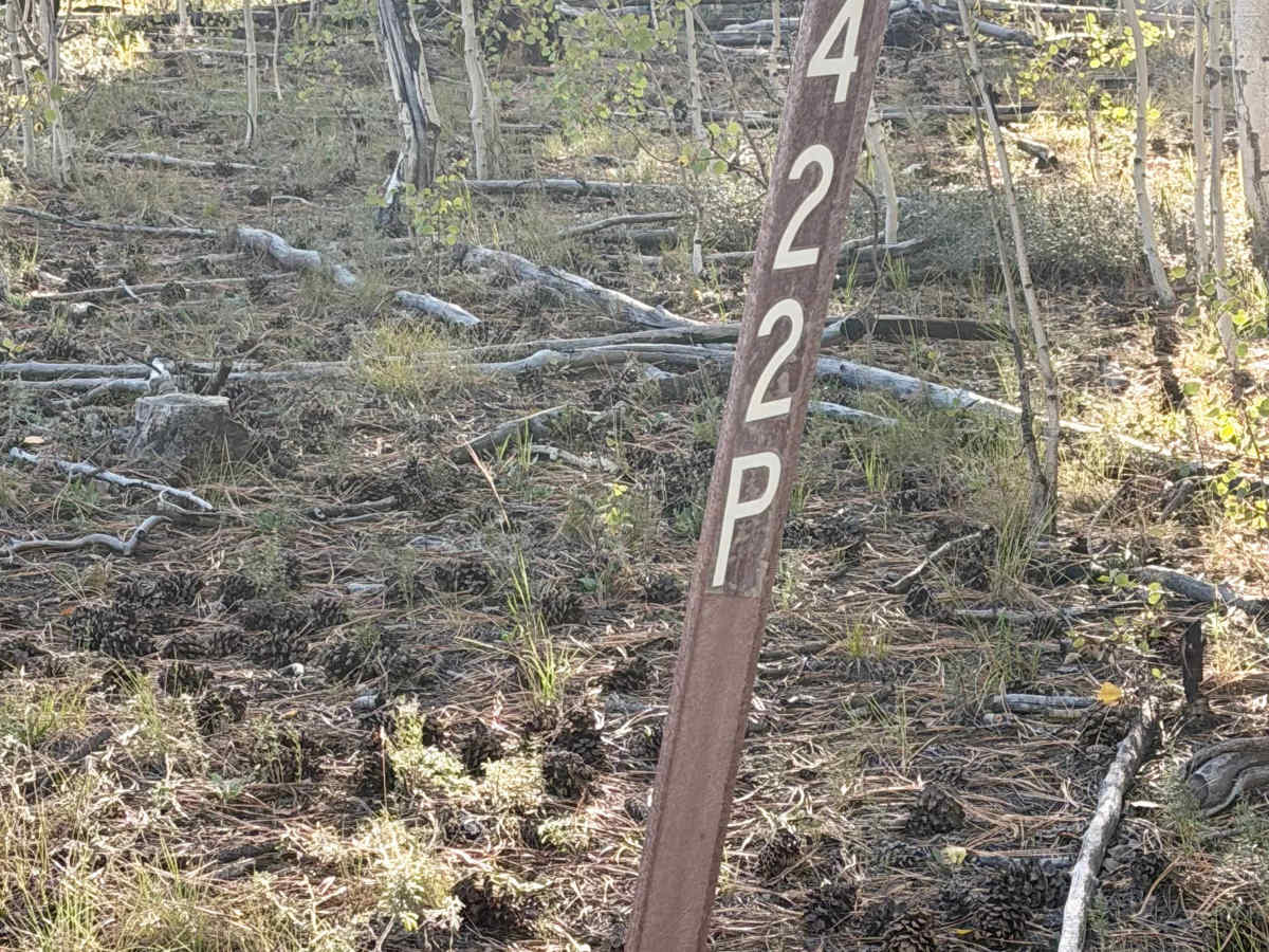 FS 422P trail photo