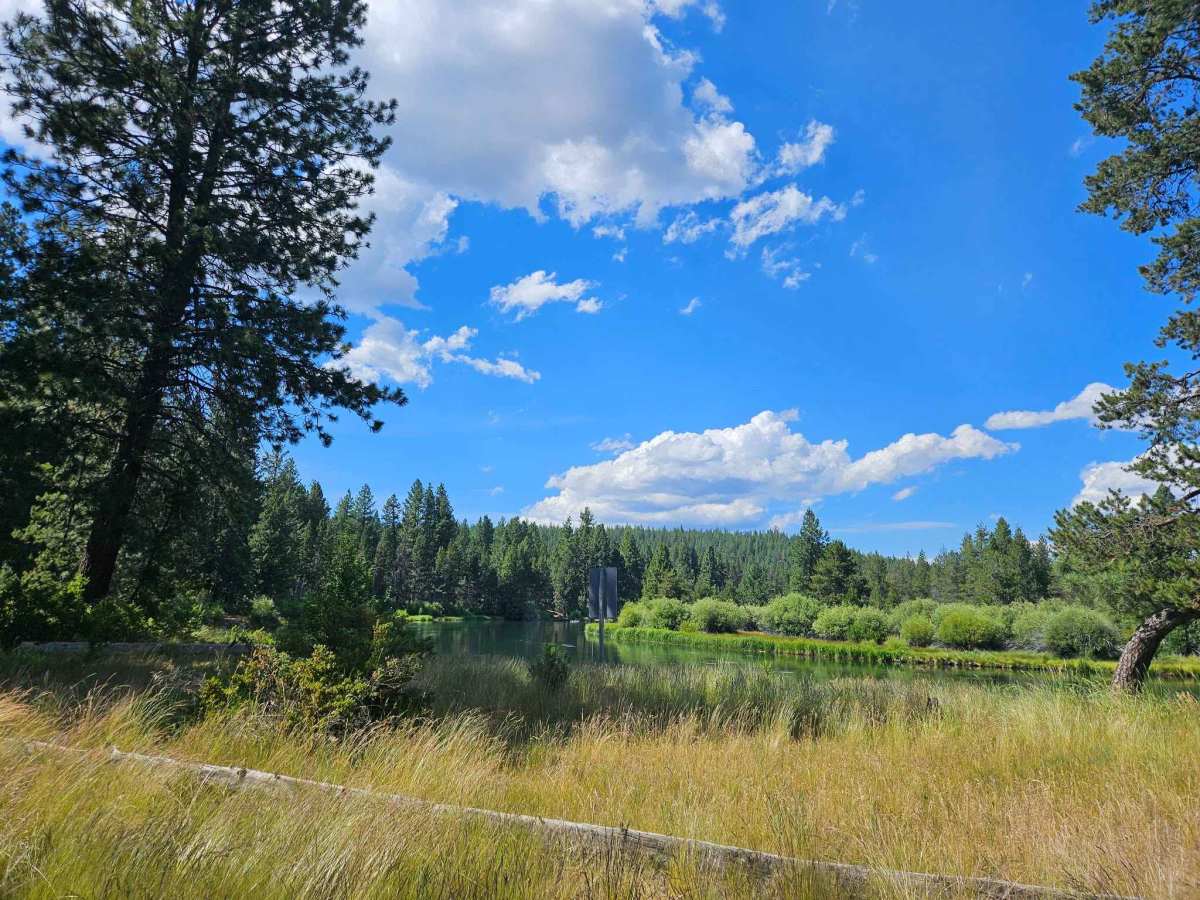 Besson Camp Road photo 4
