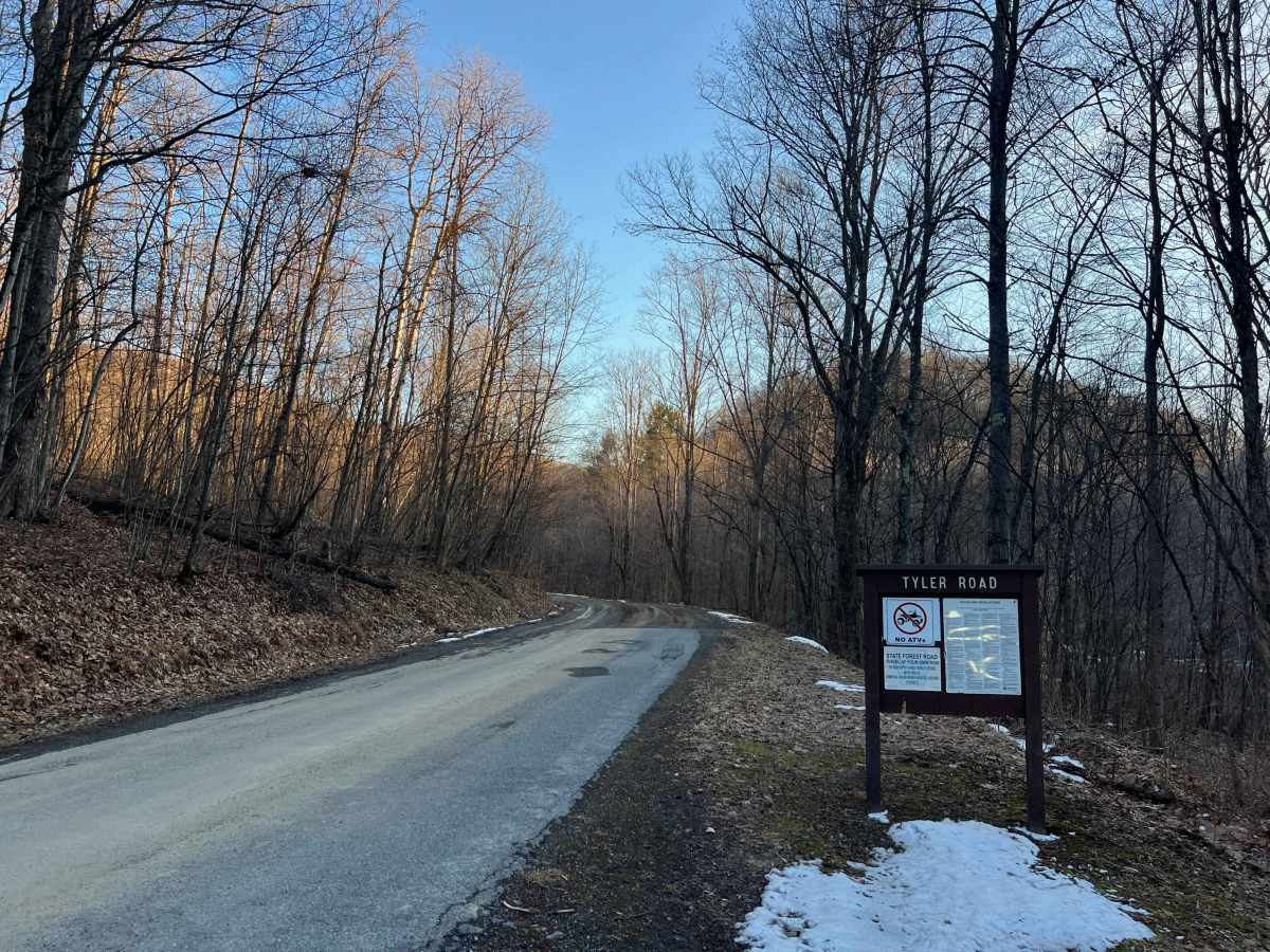 Tyler Road trail photo