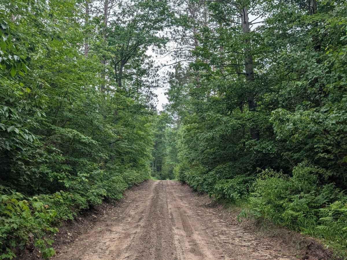 Tower Hill Truck Trail trail photo