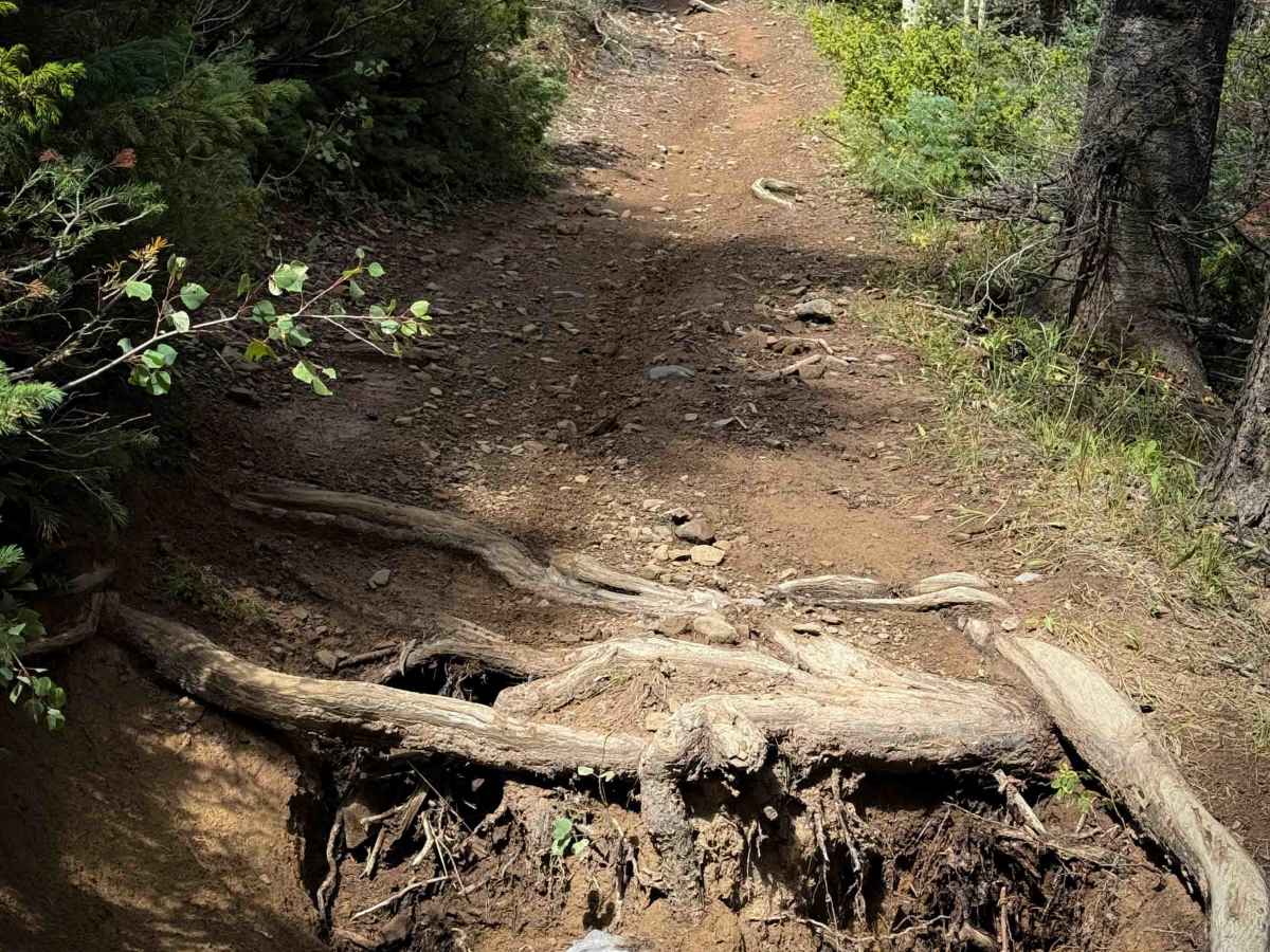 La Cueva Trail - FS 8  photo 3