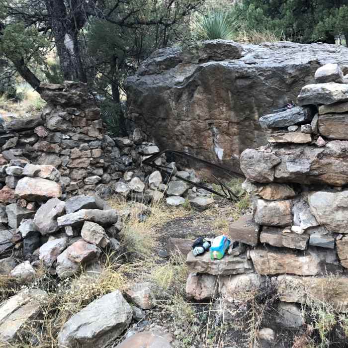 Near Dog Canyon Trail (T106)