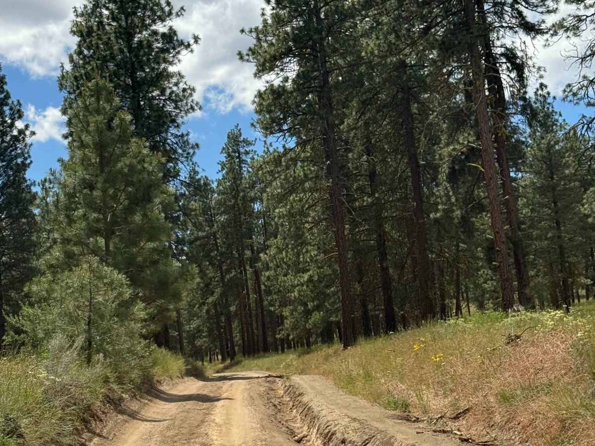 Milk Canyon Road photo 4