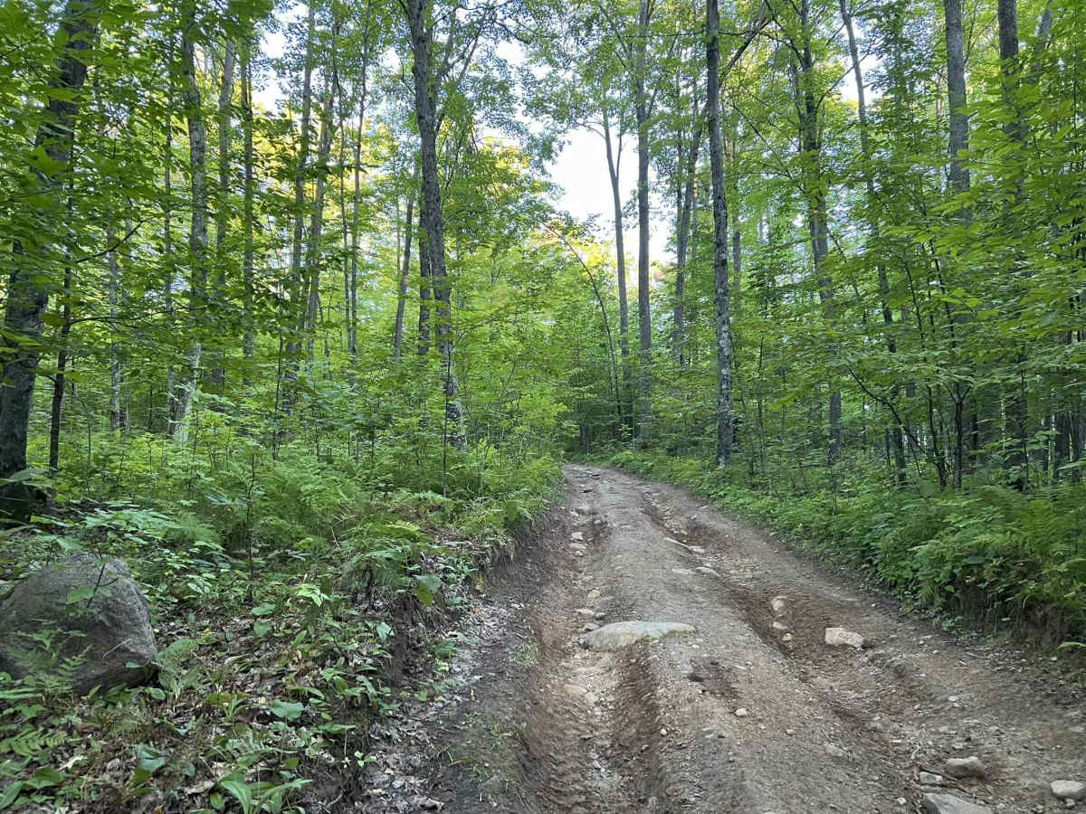 Forest County ATV/SXS 8 Mile Loop Trail 1 photo 5