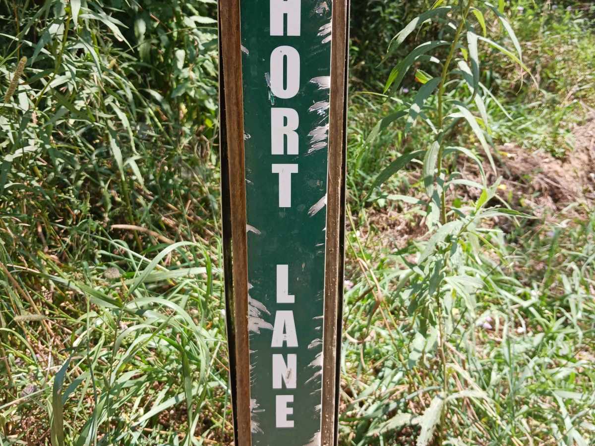 Short Lane - Rock Run Recreation Area trail photo