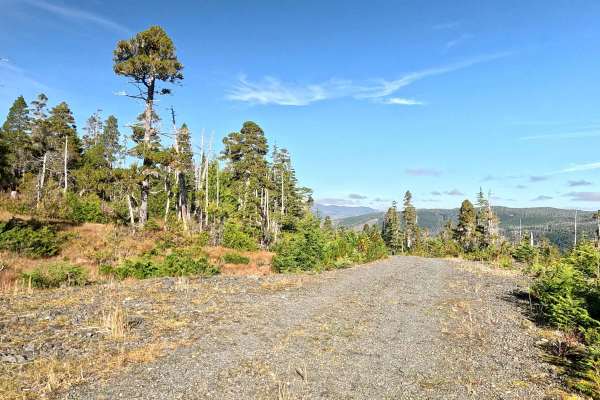Lake Ellen West Spur - FS 2030206