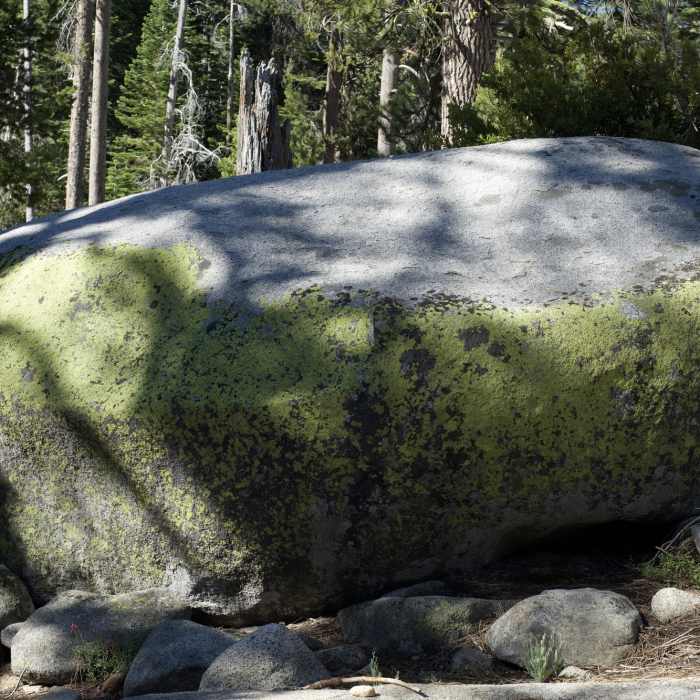 Near Yosemite Creek Trail