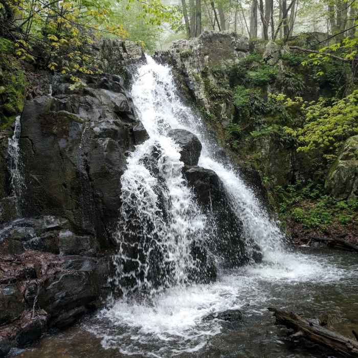 The Overall Run upper cascades. Near Tuscarora to Toms Brook: Shenandoah and GW