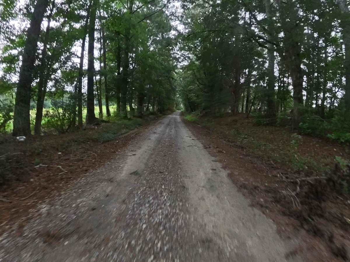 Monroe Tyler Road photo 5