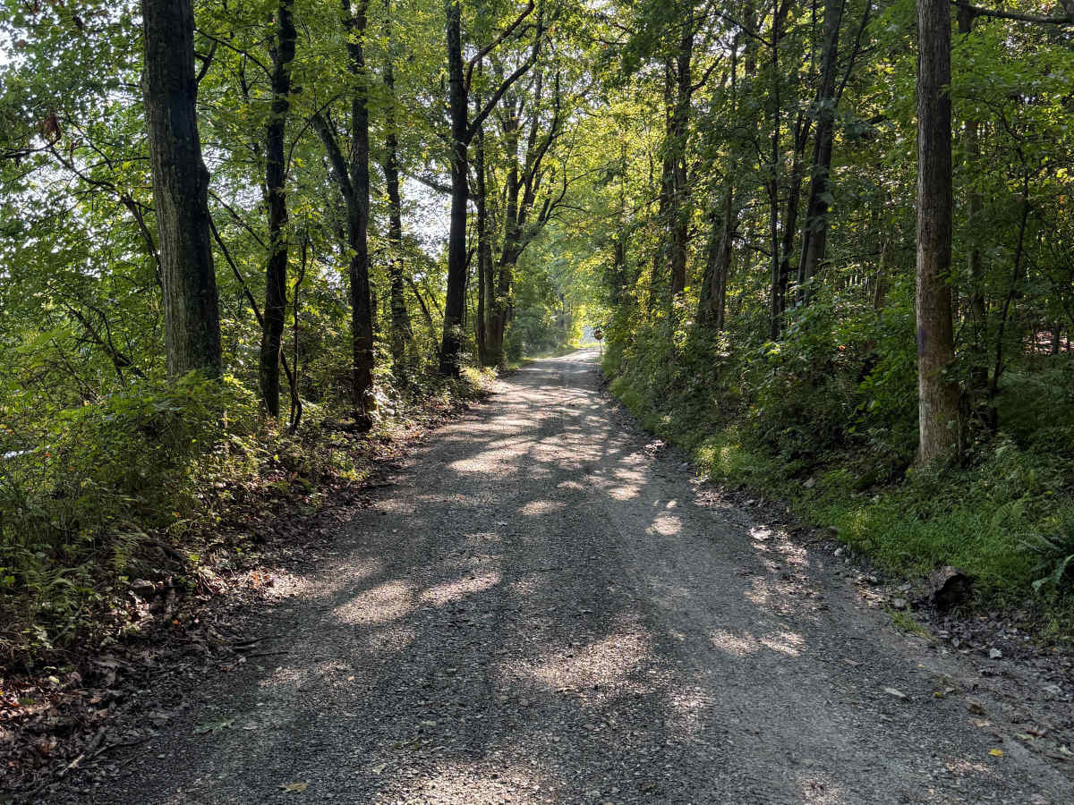 Hoffman Road photo 5