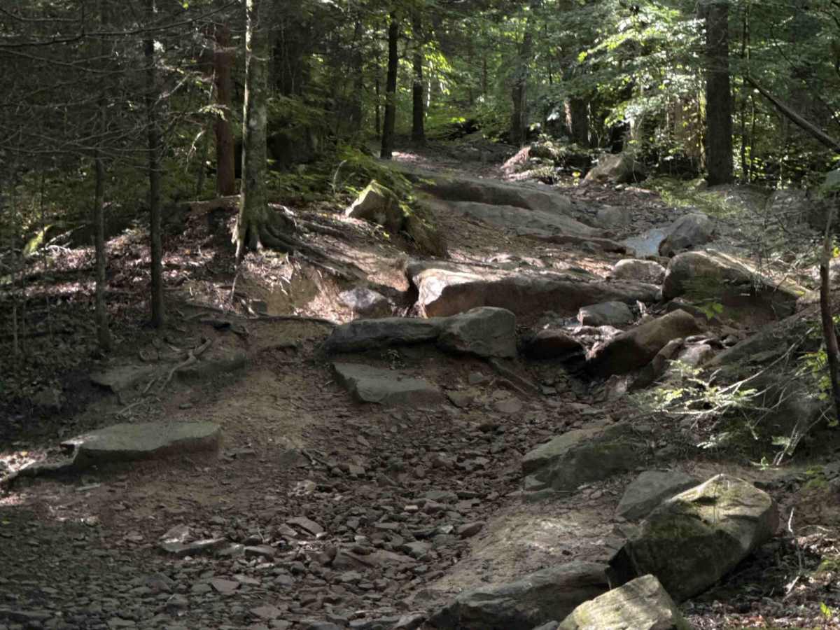 Long Haul Hollow Trail 31  photo 3
