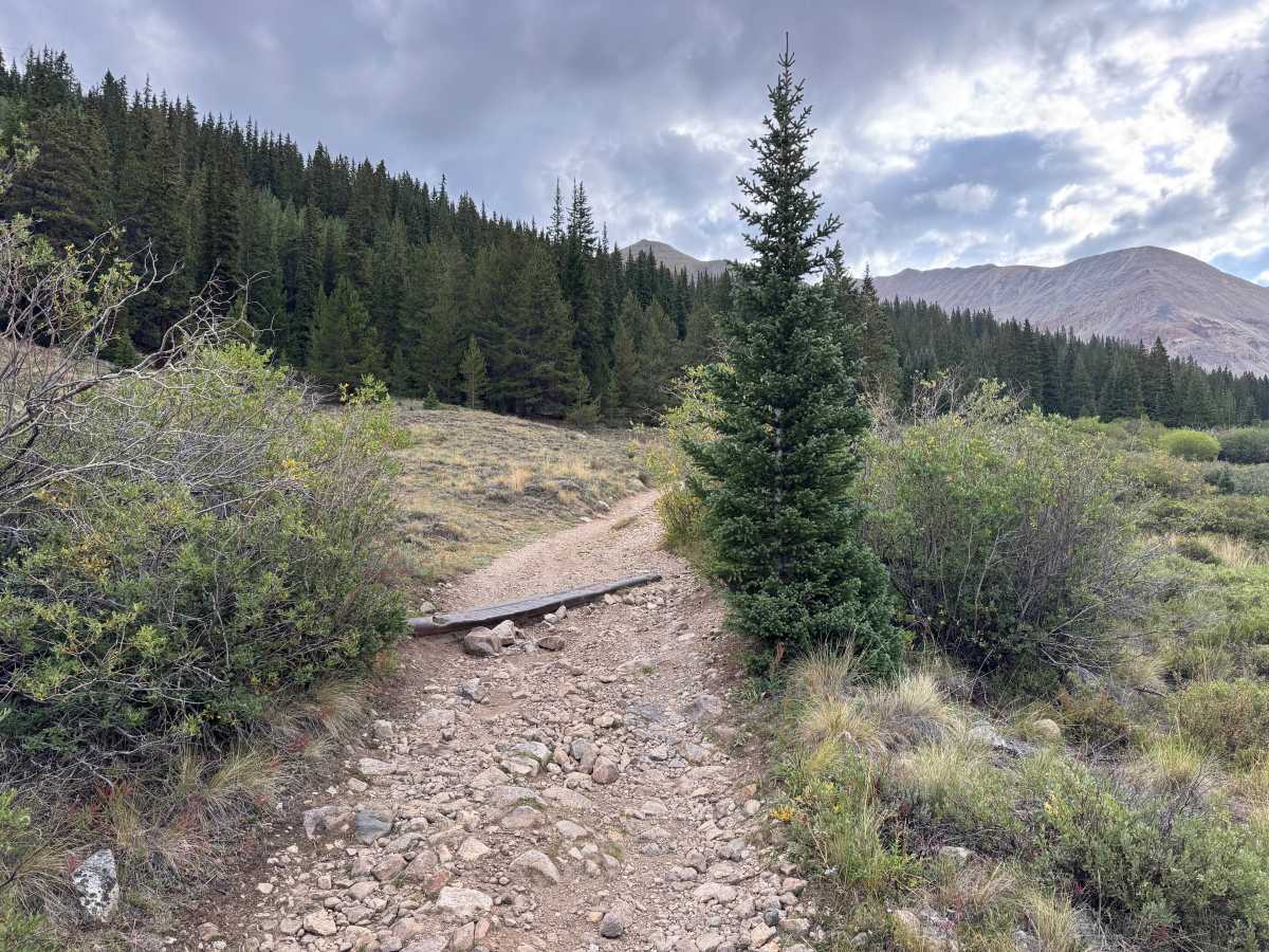 Lower Iowa Gulch photo 4