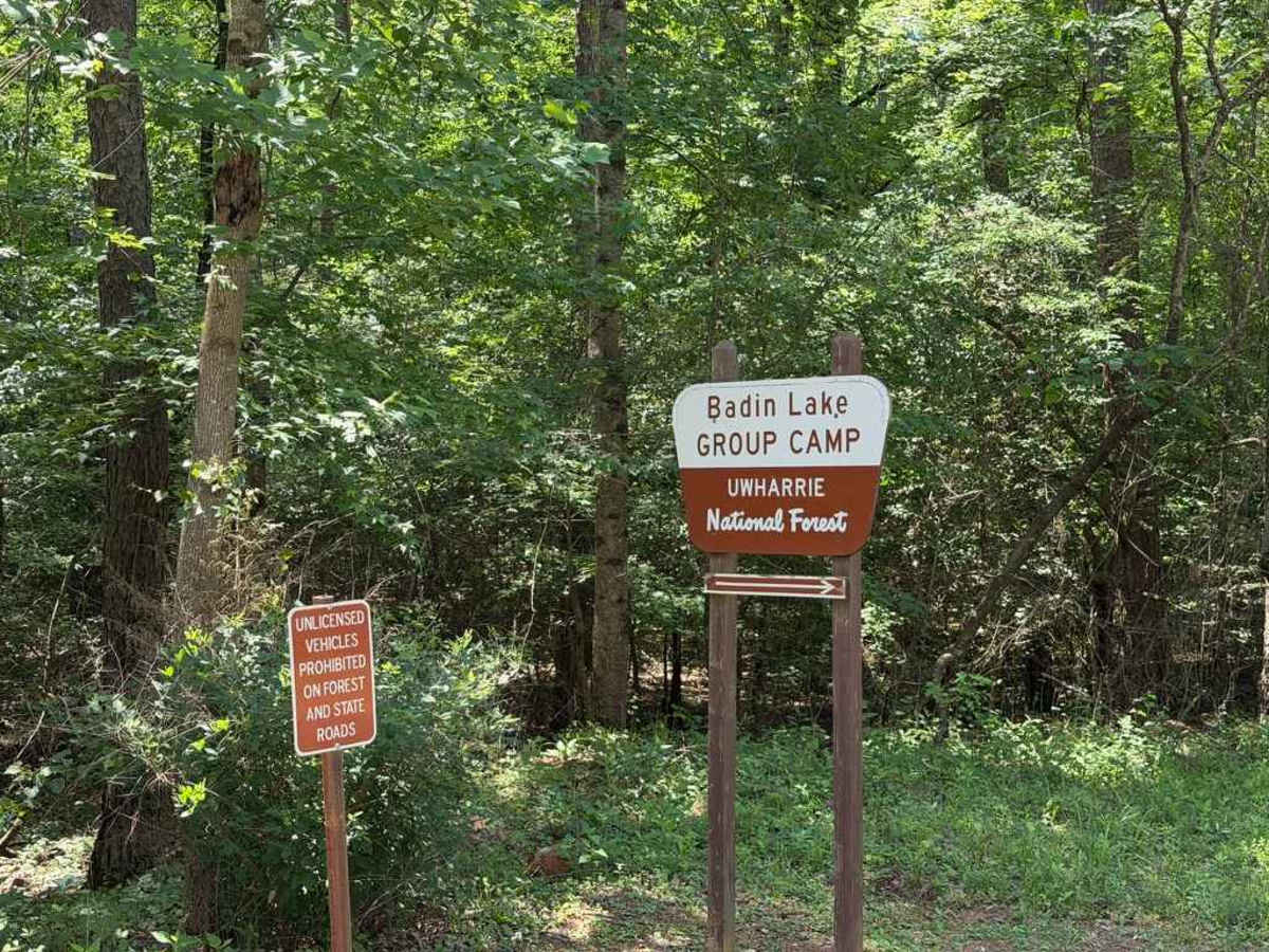 Kings Mountain Road - FS 597A trail photo