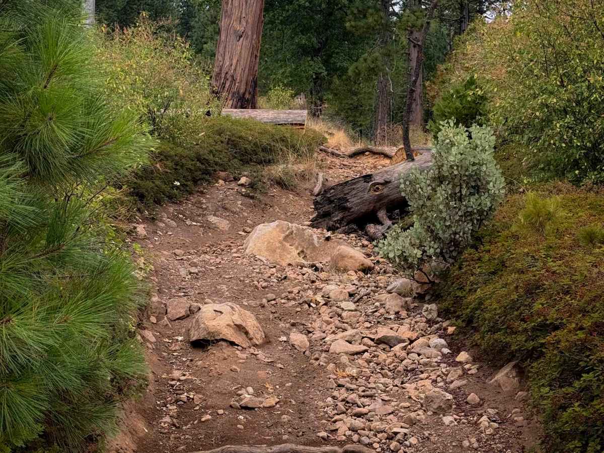 15EV71  trail photo