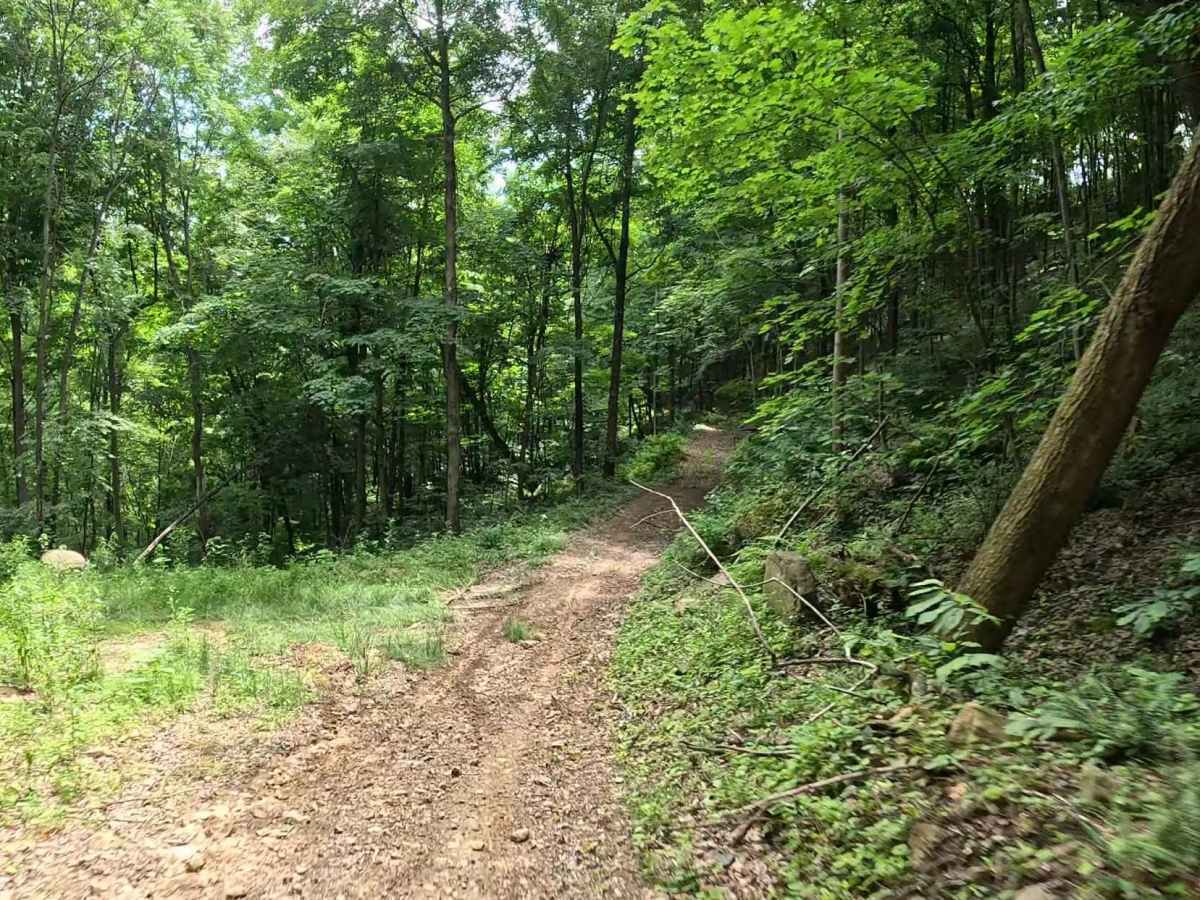 Q73B trail photo