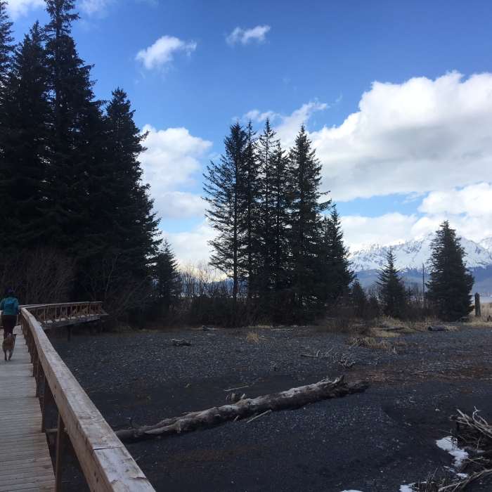 Tonsina Creek Bridge #2 Near Tonsina Point Out and Back
