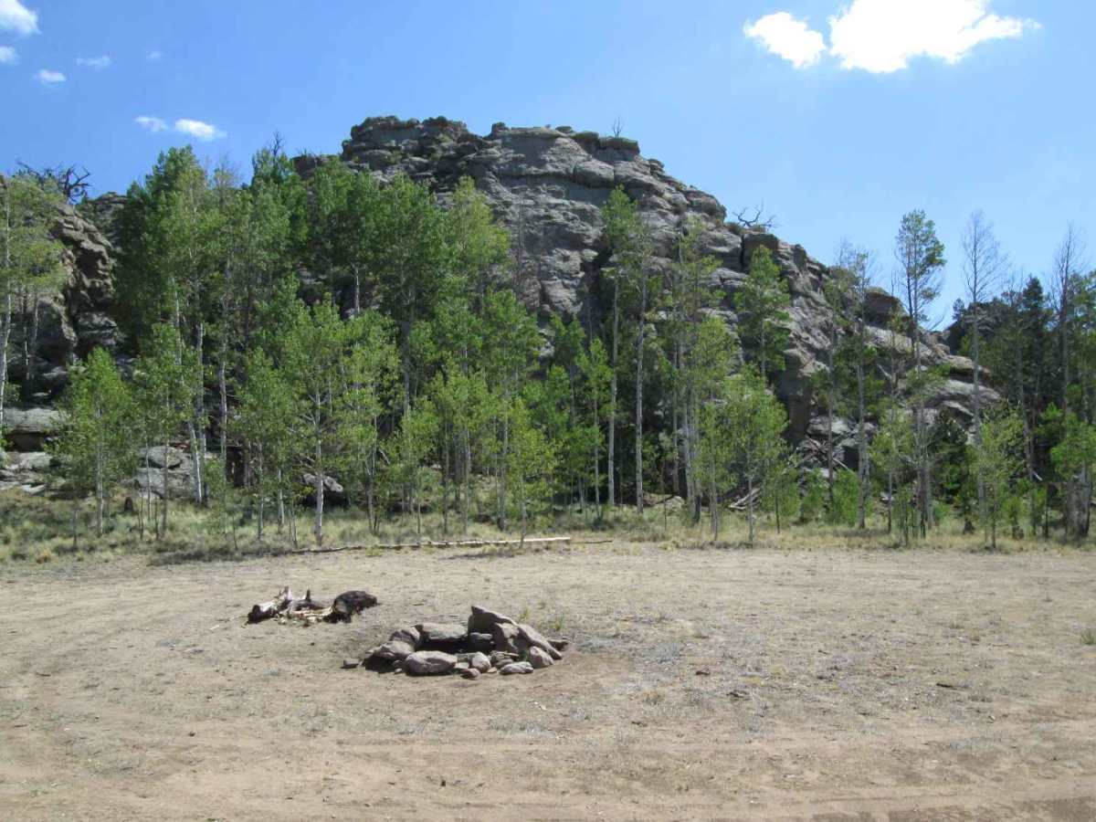 Steele photo 3
