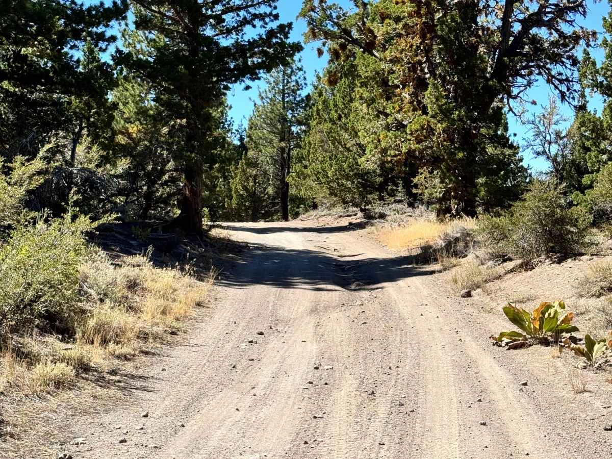 Loope Canyon Road - FS 31190 trail photo