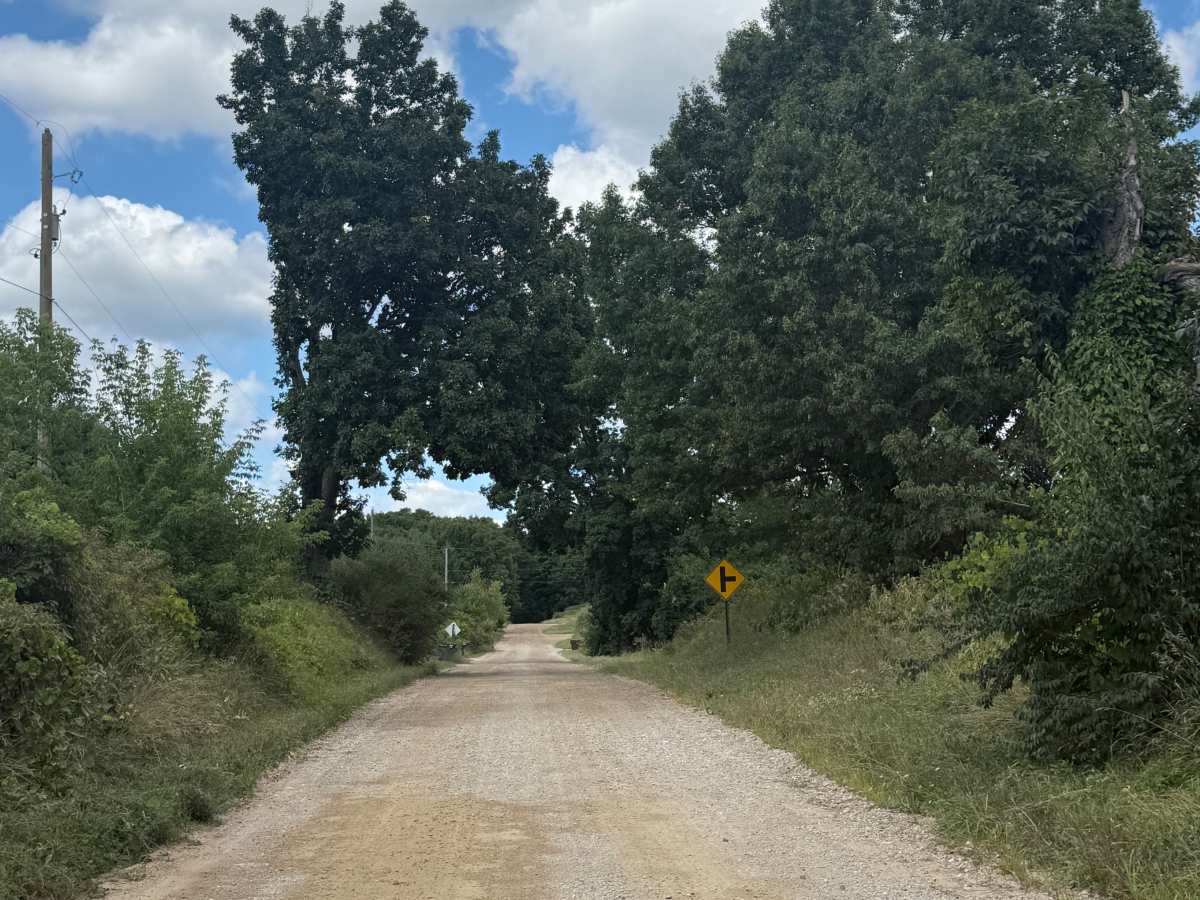 Maute Trail photo 3