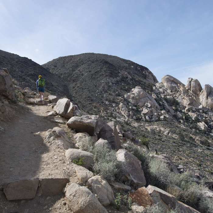 Near Ryan Mountain Trail