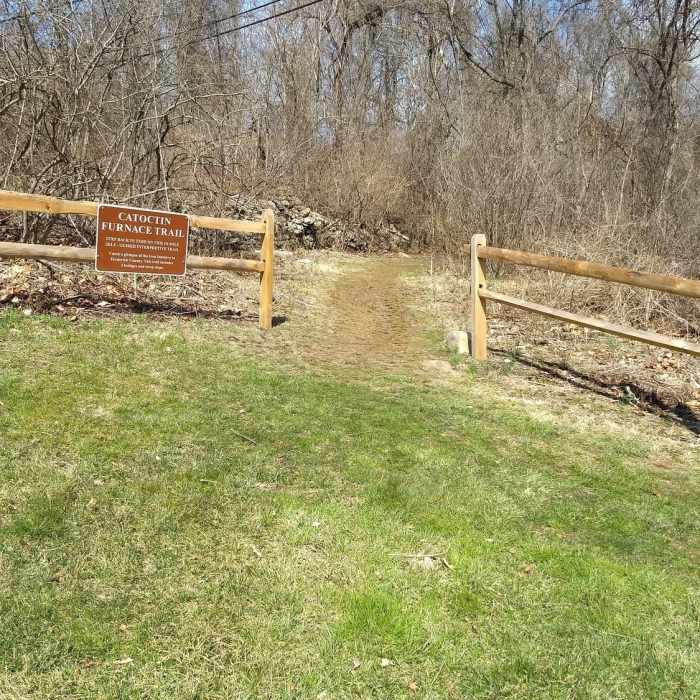 Near Catoctin Furnace Trail