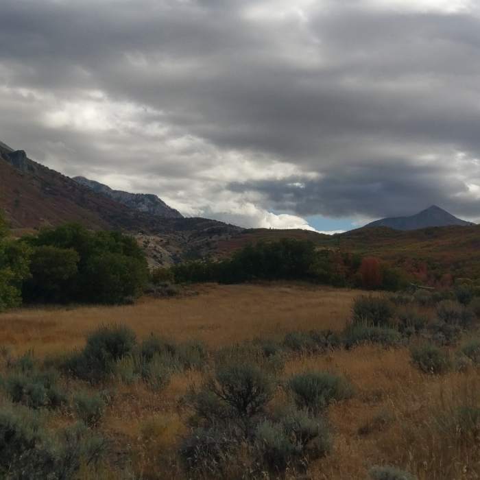 Lovely calm meadow near the top of Hoof N Boot Trail Near Hoof 'n' Boot Trail