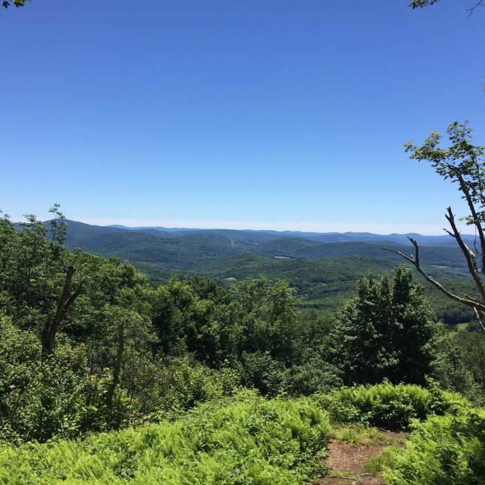 Near Bramley Mountain Loop