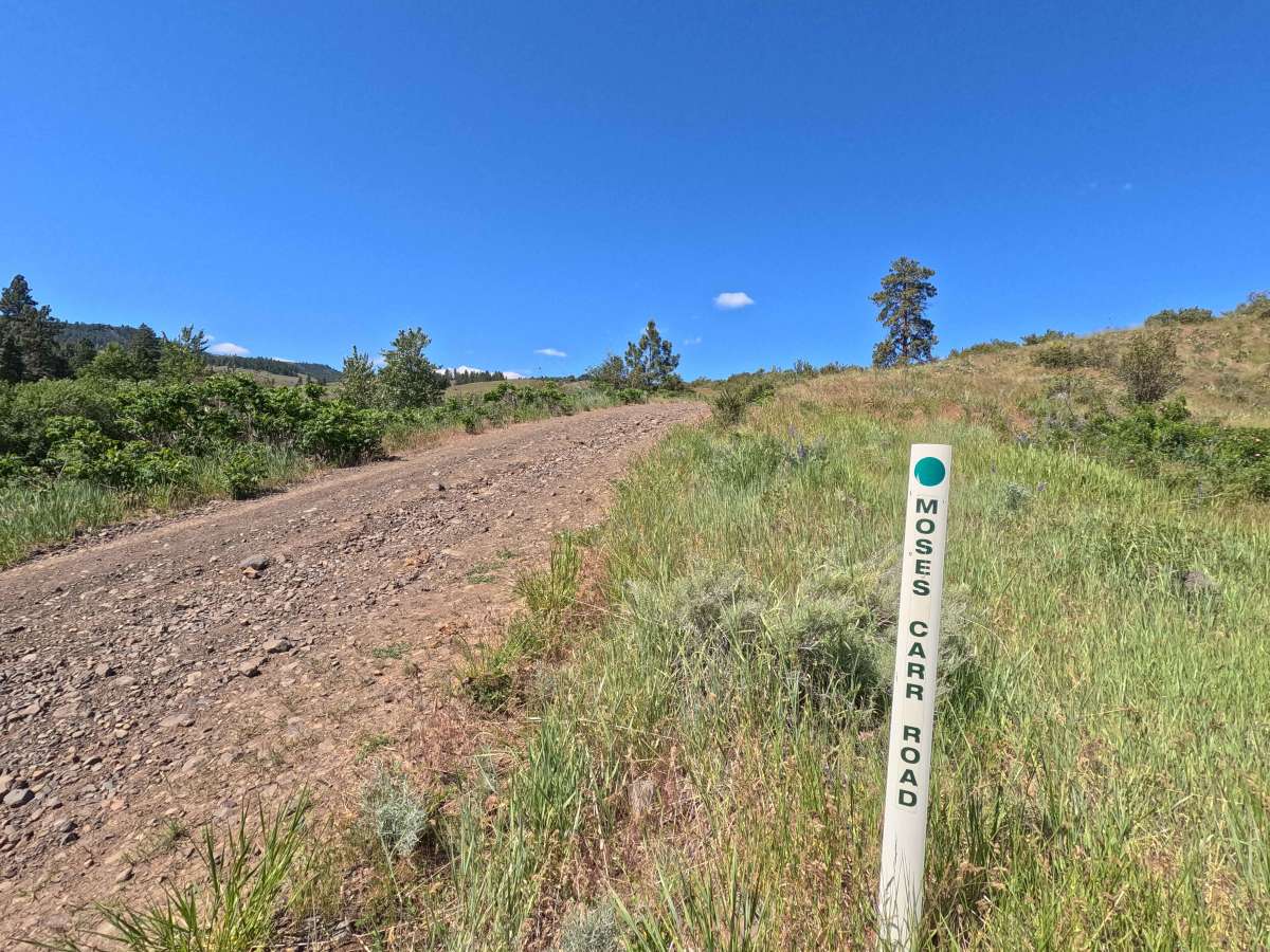 Moses Carr Road trail photo