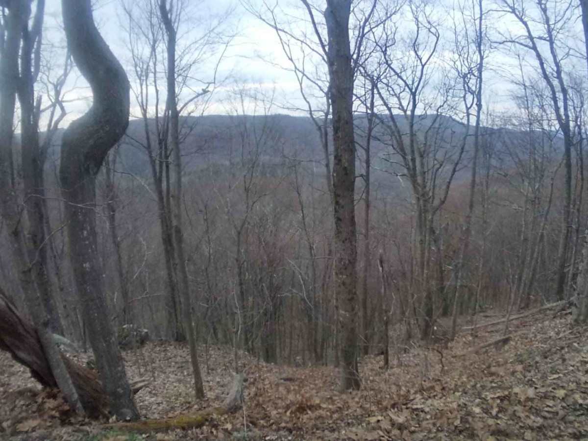 Crabtree Meadows photo 6