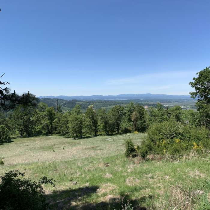 Near Wild Iris Ridge