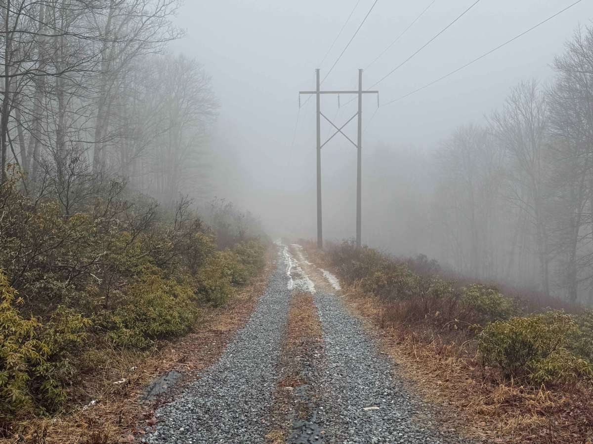 Holland Run Trail photo 3