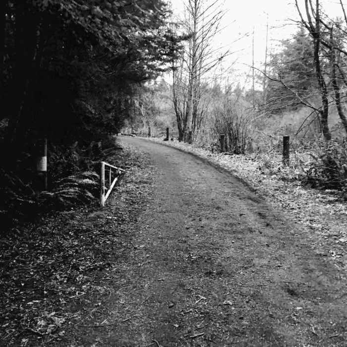 Near Trail 10