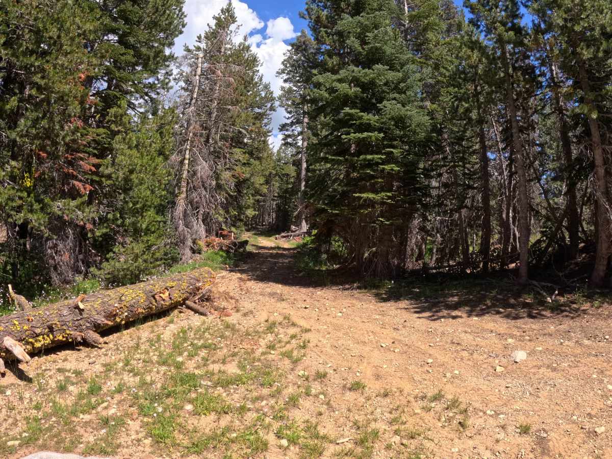 Church Creek - FS 28 photo 3