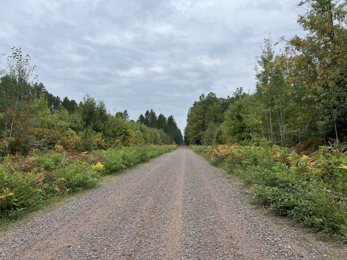 FR 1100, Trail OC trail photo