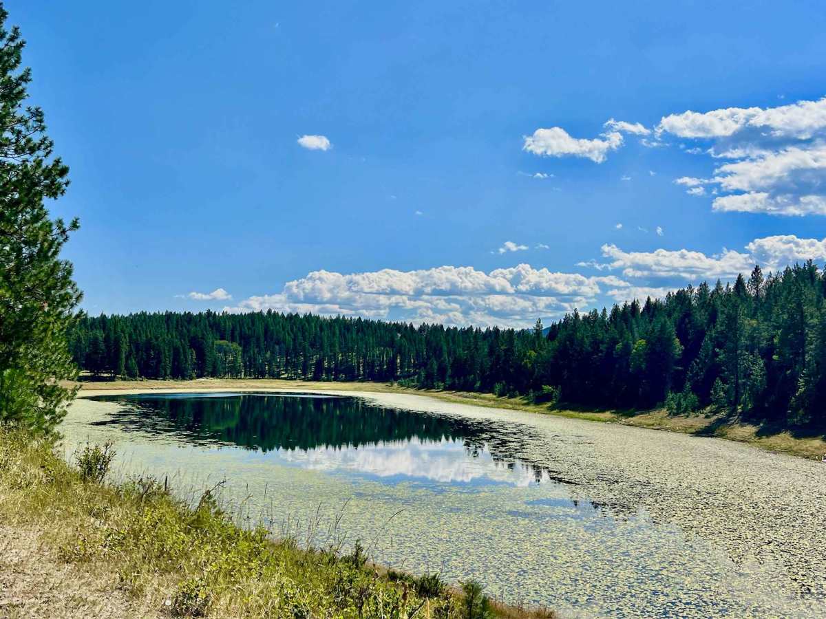 Wapiti Lake via Shelbourn photo 2