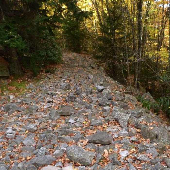 Near Rocky Point Trail