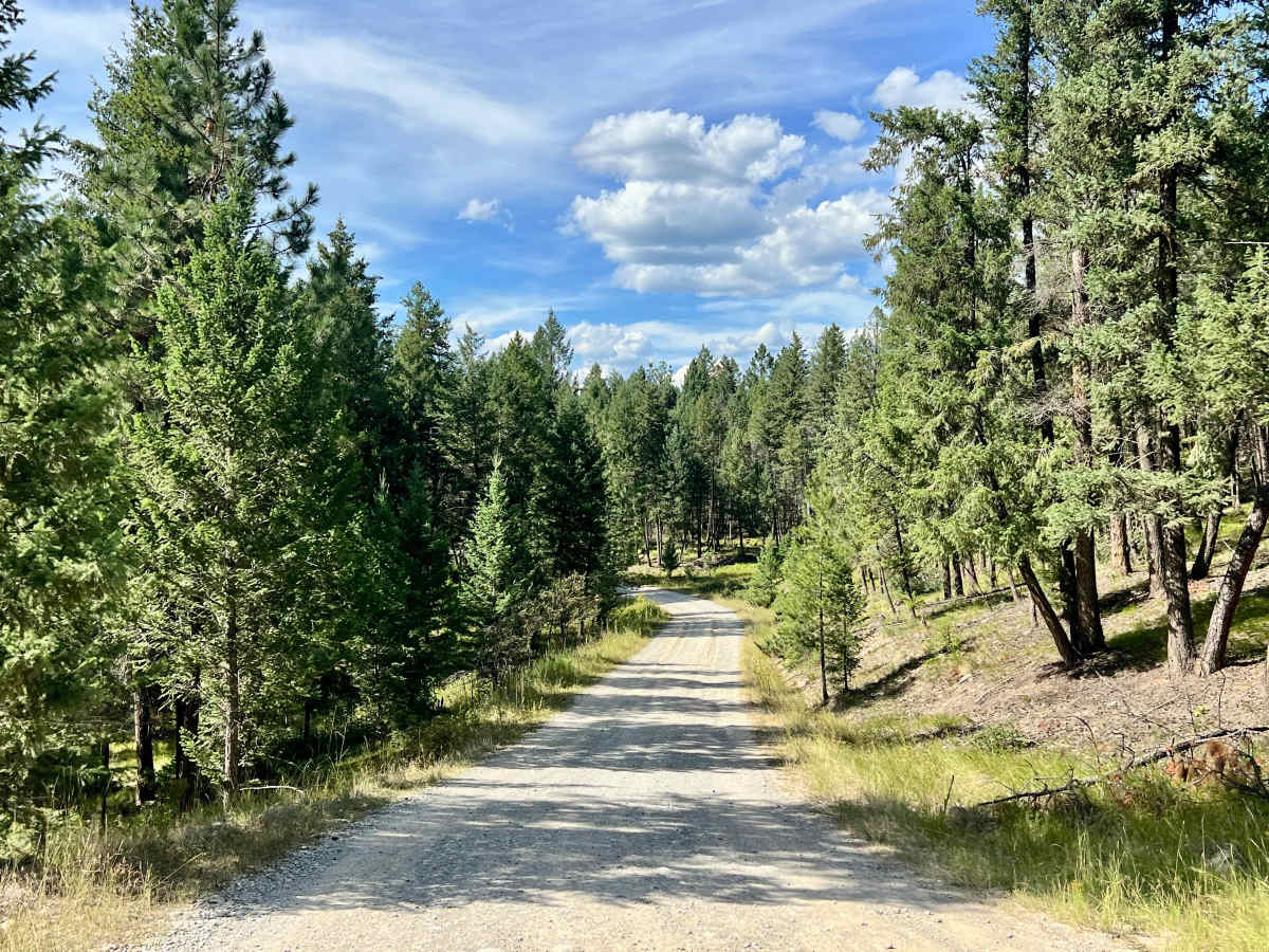 Loon Lake Recreation Area Trail photo 3