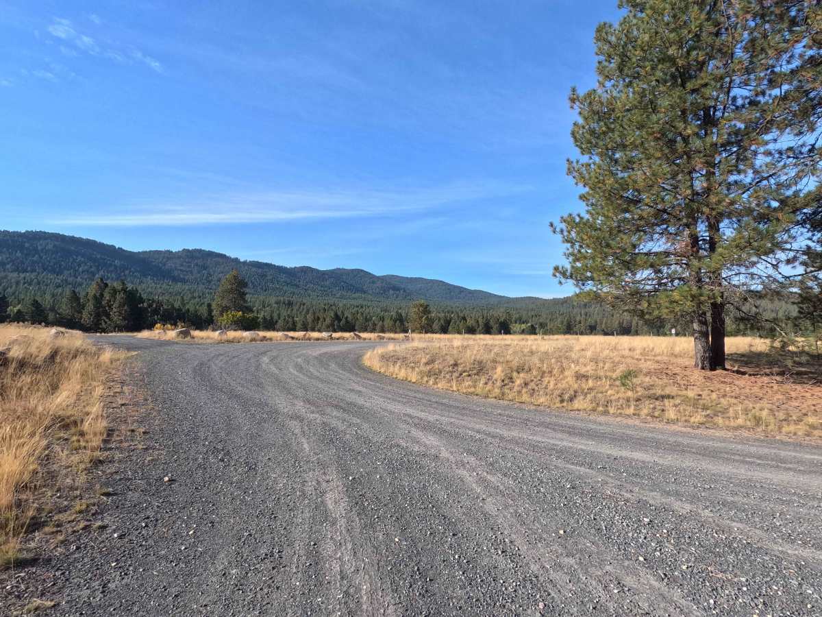 Webking Road trail photo