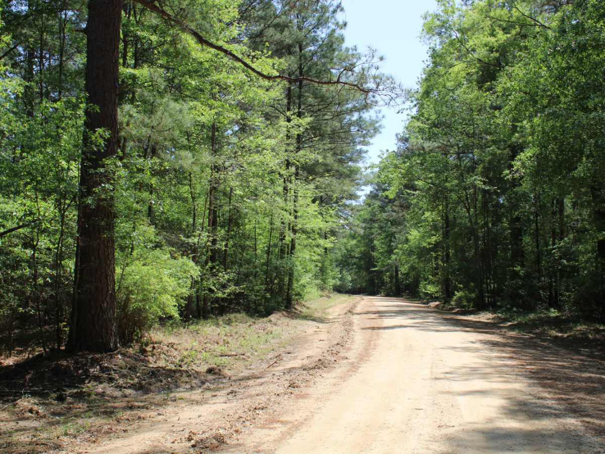 The Arkansas Overland Route - TrailHawk Loop - Section 17 photo 4