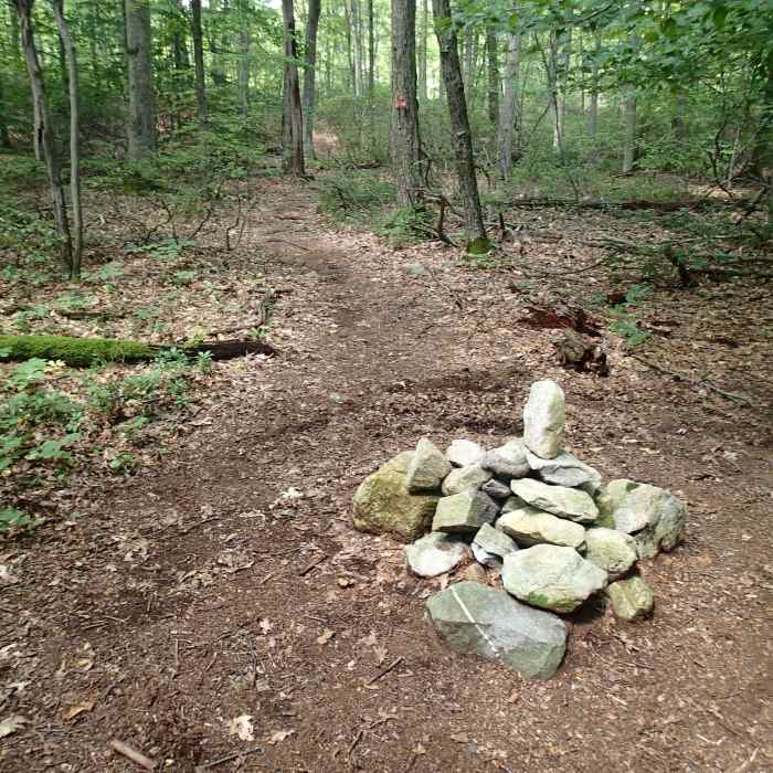 Near Three Lakes Trail - Appalachian Trail Loop