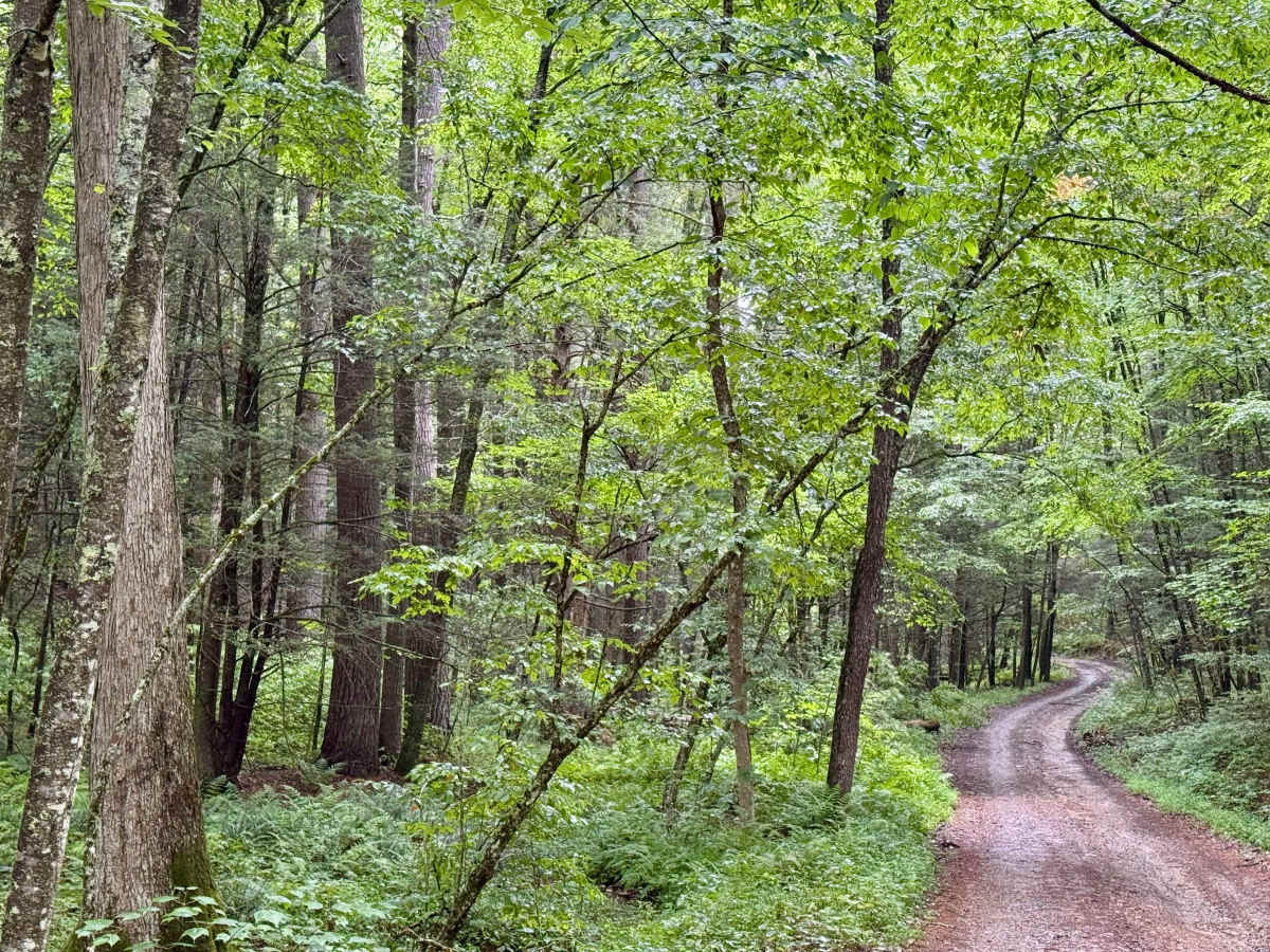Little Creek Road 16 photo 4