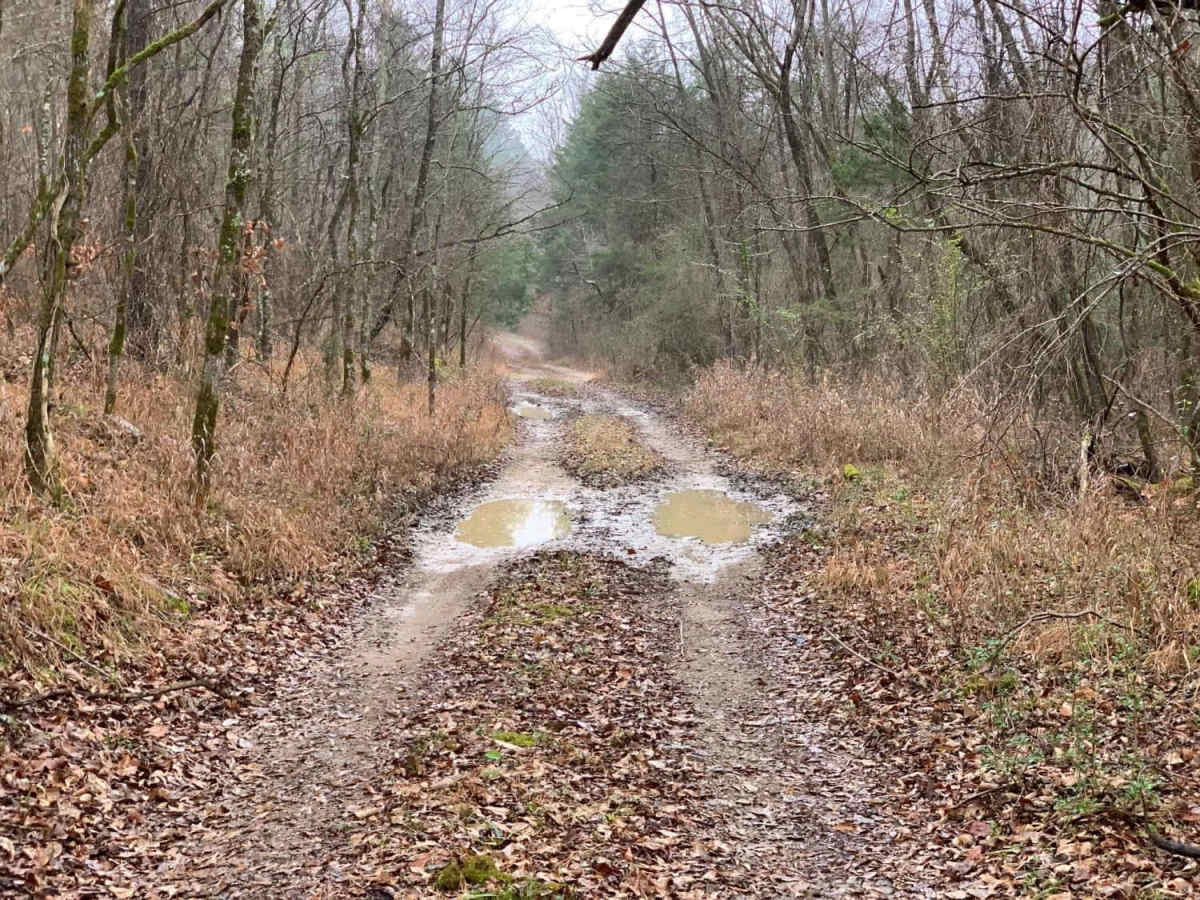 Hidden Camp Trail photo 5