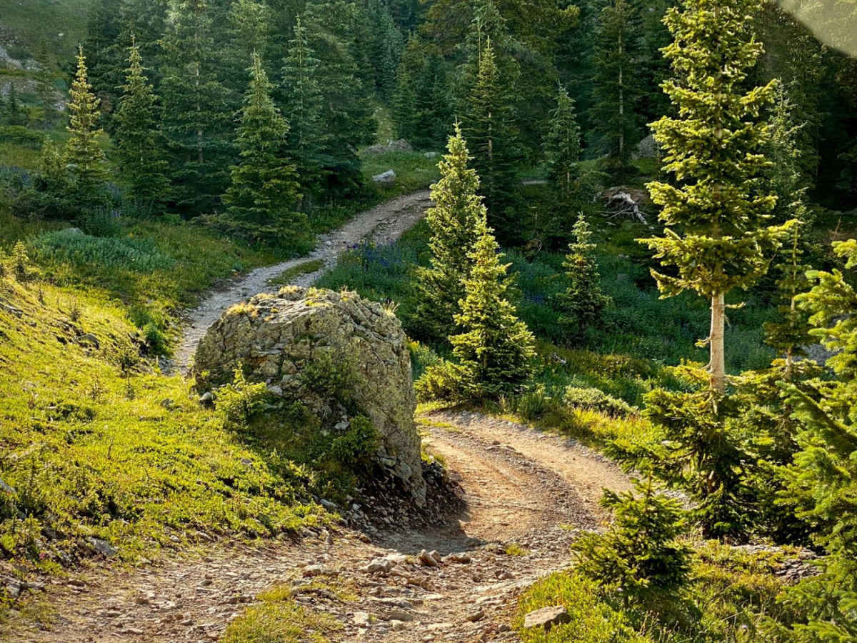 Silver Basin Trail photo 3