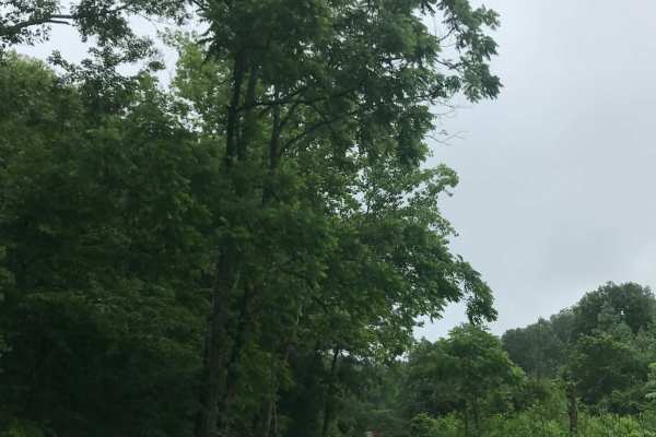 Kimble Ridge 