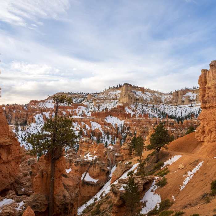 Near Peekaboo Loop (via Sunset Point)