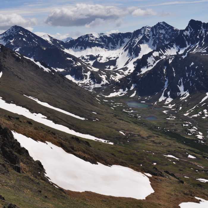Near Wolverine Peak Trail