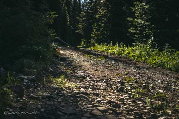 Hart's Pass Road 54007