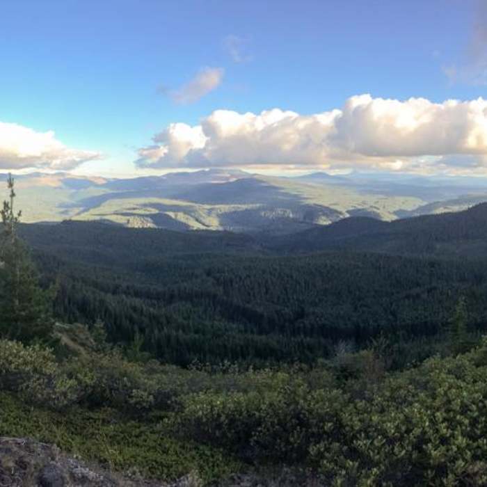 Near Bachelor Mountain