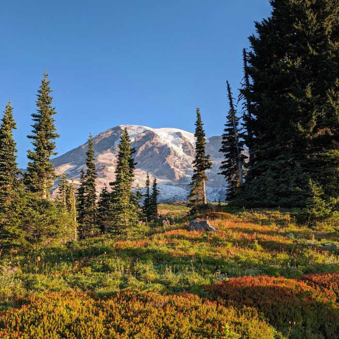 Near Dead Horse Creek