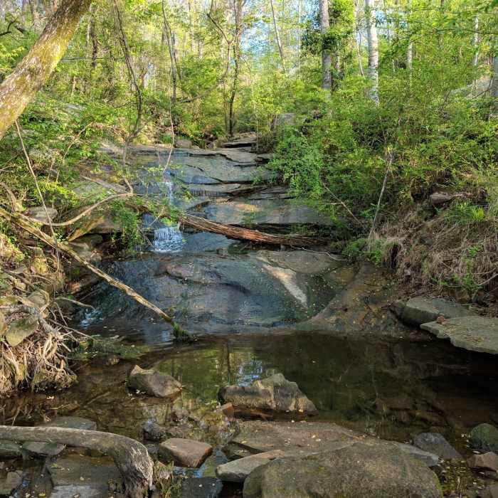 Blue Trail Near Powerline to Blue Trail Loop